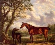 unknow artist Classical hunting fox, Equestrian and Beautiful Horses, 224. oil painting on canvas